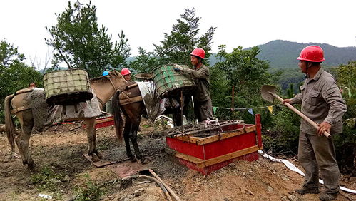 沿着 风光 之路看湖北① 山风吹进新时代